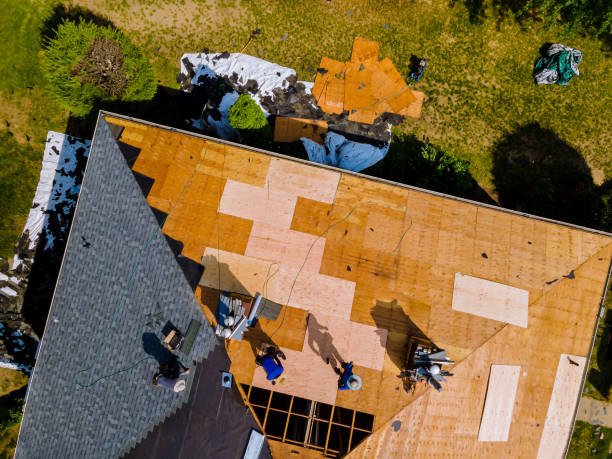 Best Metal Roofing Contractor  in Peotone, IL