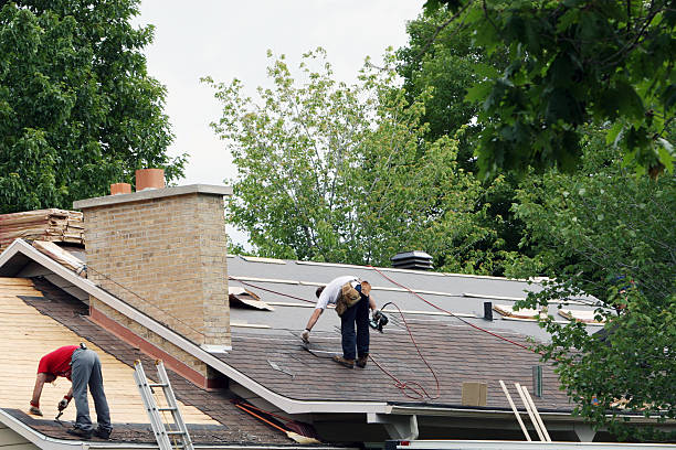 Tile Roofing Contractor in Peotone, IL